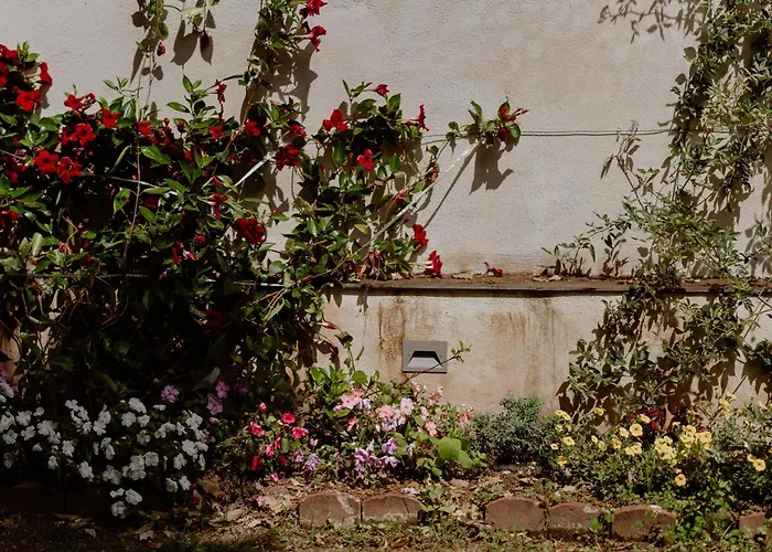 Il Giardino Della Tartaruga