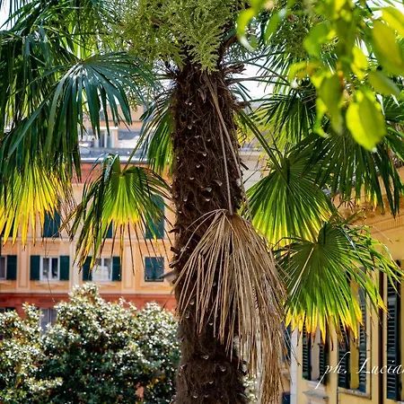 Il Giardino Della Tartaruga Affittacamere Genova