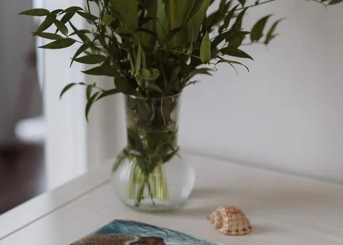 Il Giardino Della Tartaruga Konukevi Cenova