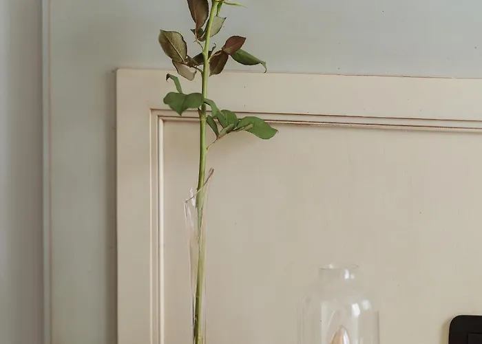 Il Giardino Della Tartaruga Konukevi Cenova