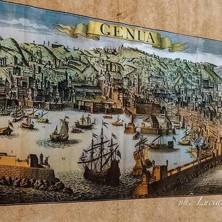 Il Giardino Della Tartaruga